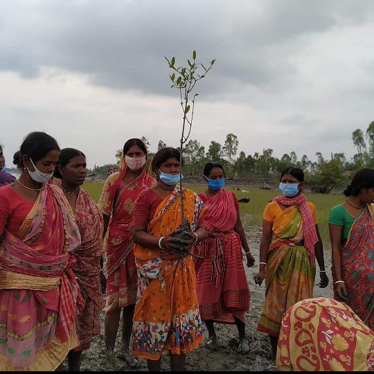 Green Heart tree plantation drive